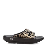 Oofos Women's Ooahh Limited Edition Cheetah Slide